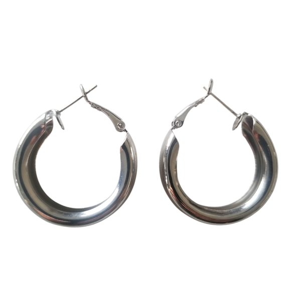 Chunky Hoop Earrings - Picture 1 of 5